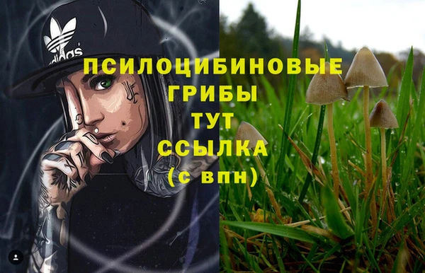МДМА Медвежьегорск