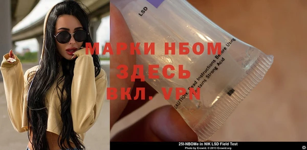 индика Медногорск