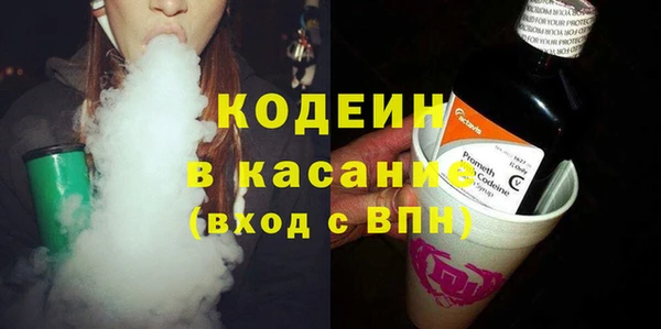 индика Медногорск