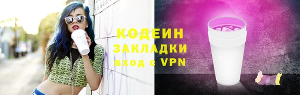 индика Медногорск