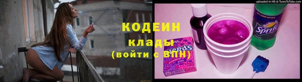 индика Медногорск