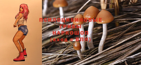 индика Медногорск
