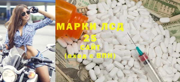 индика Медногорск
