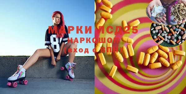 индика Медногорск