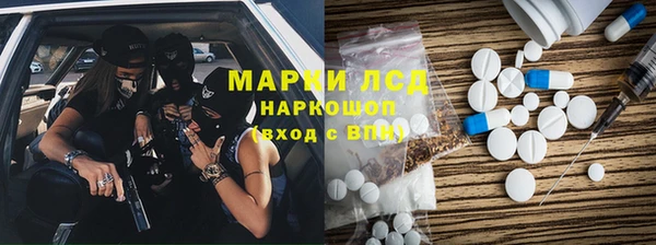 индика Медногорск