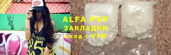 индика Медногорск
