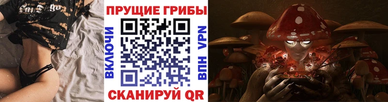 Купить закладки  Киселёвск  Галлюциногенные грибы Magic Shrooms 
